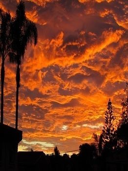 Merimbula Beach Apartments Dış mekan fotoğraf